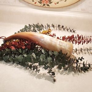 Genuine Cattle Horn Powder Horn